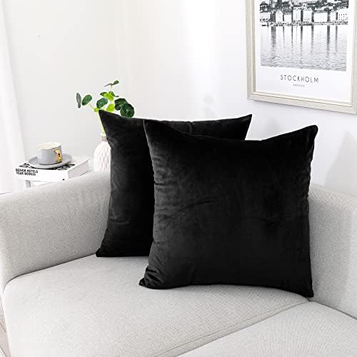 Nini All Decorative Troad Pro travesseiro Pacote de 2, travesseiros de veludo para travesseiros de sofá, capa da sala de estar