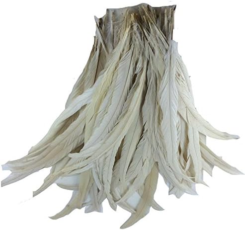 Kolight Conjunto de 10pcs 12 ~ 14 polegadas de galo natural de coque cauda de cauda para decoração de escritório de festas