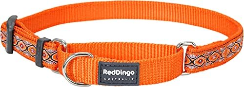 Red Dingo Designer Martingale Dog Collar, Small, Daisy Chain Purple