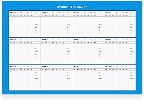 Planejador de exercícios de fitness de 12 semanas apagável // 18 polegadas-27 polegadas-azul claro