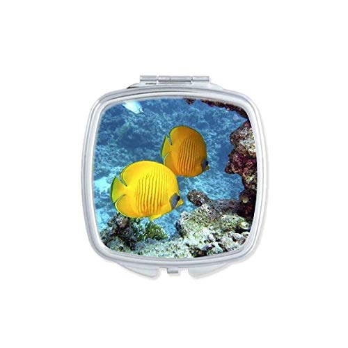 Ocean Water Fish Nature Picture Mirror Portátil Compact Pocket Maquia