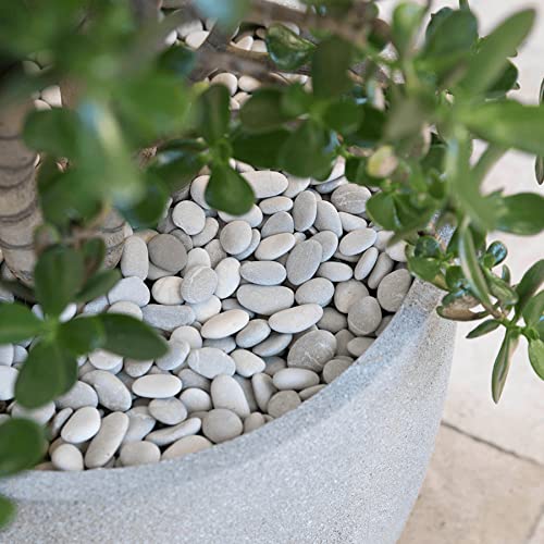 Rochas do rio branco para plantas 11,25 lb Peças decorativas pequenas 1 -1,5 Pedras polidas de cascalho de aquário liso para vasos de peixe vasos