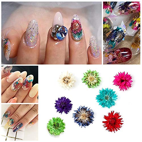 IFANCER 108 PCS Flores secas de unhas 48 Cores 3D Nail Art Flores reais Pétalas secas folhas Decoração para unhas Design de manicure decoração