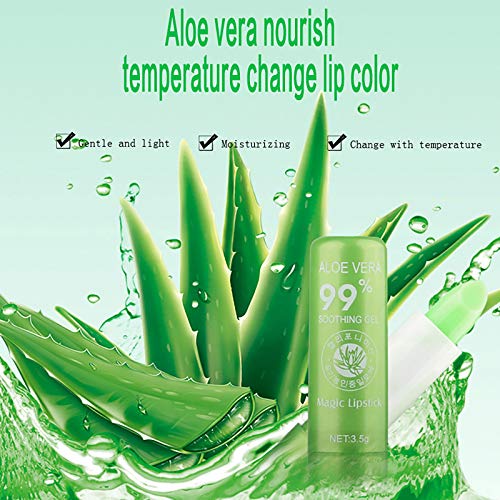 Hidratante aloe bálsamo lábio hidratante verde planta geléia magic lipstick lipe Lip Liner