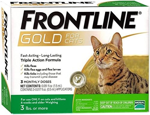 Ouro da linha de frente para gatos