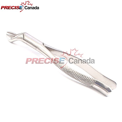 Canadá preciso: conjunto de 50 fórceps de extração dental #88R Instrumentos de extração dental