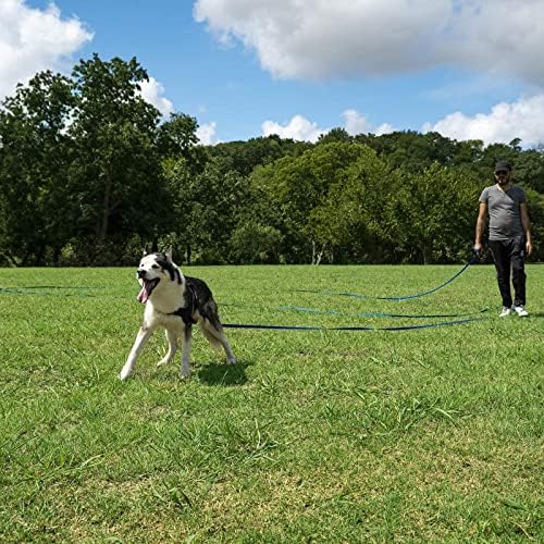 Slip Lead Dog Leash Sem Treinamento de Pet Treinamento de Pet Frela de corda confortável Coloque para treinar para cães de cães de cães
