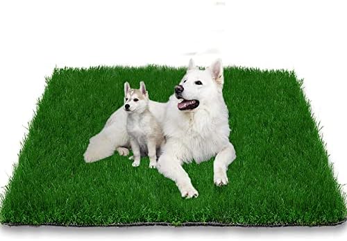 Alma de grama para cães 39,3 x 19,7 polegadas, forte absorção macia e real para animais de estimação para animais de estimação,