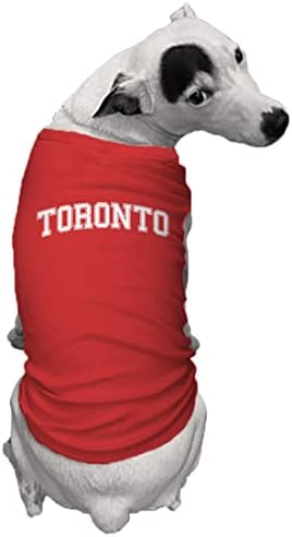 Toronto - camisa de cachorro esportiva da Universidade Estadual
