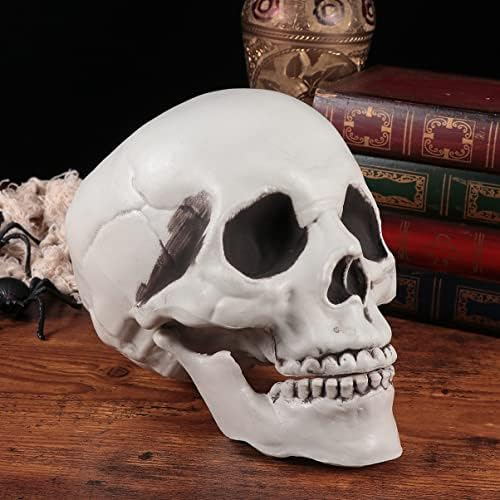 Sosoport Manequin 3 sets Halloween esqueleto de esqueletos de plástico manual de esqueletos de mão maniquina maniquina